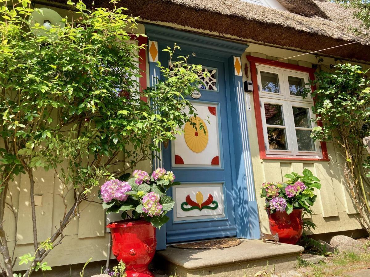 Haus Am Hafen - Luxus Unter Reet, Garten Mit Terrasse Prerow