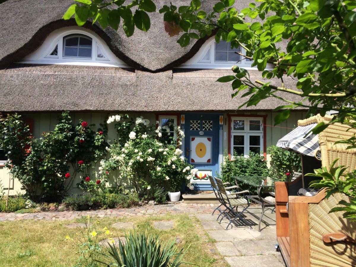 Haus Am Hafen - Luxus Unter Reet, Garten Mit Terrasse Сasa de vacaciones